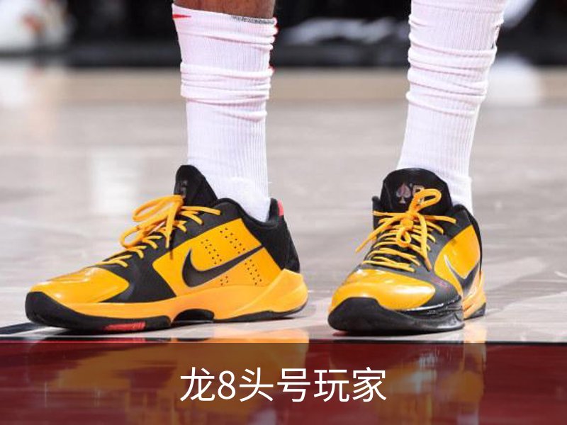 龙8头号玩家介绍